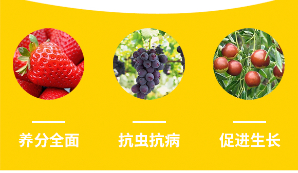 河南騰豐農(nóng)業(yè)科技有限公司2_08