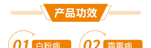 ߮a(chn)GM(mn)--_06