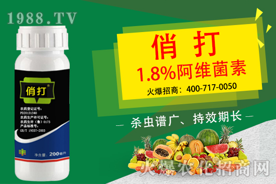 菜青蟲(chóng)危害大,該怎么防治?菜青蟲(chóng)專(zhuān)用藥劑推薦!