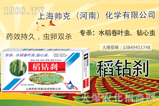 水稻鉆心蟲不好打?那是你沒(méi)用它!水稻鉆心蟲選對(duì)藥,防治不用愁!
