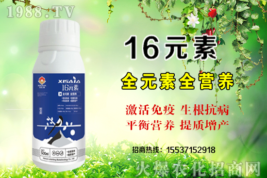 復合肥
