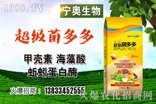 尿素價格