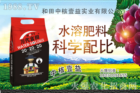 四季海棠多久澆一次水?四季海棠澆水過(guò)多怎么挽救?