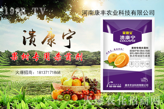 柑橘潰瘍病又到高發(fā)期,康豐農業(yè)“潰康寧”防治效果怎么樣?