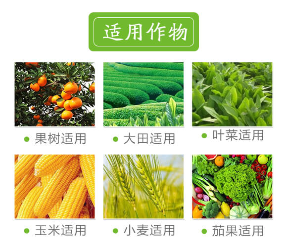 礦源黃腐酸鉀-黑色革命-愛(ài)農(nóng)斯達(dá)_07