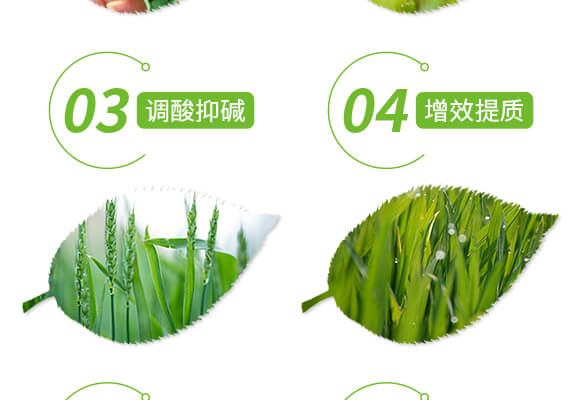 礦源黃腐酸鉀-黑色革命-愛(ài)農(nóng)斯達(dá)_05