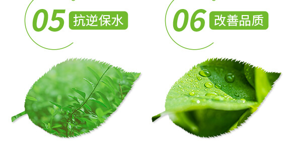 礦源黃腐酸鉀-黑色革命-愛(ài)農(nóng)斯達(dá)_06