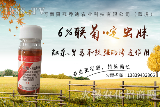 番茄白粉虱大爆發(fā),防治難?“6%聯(lián)菊·啶蟲脒”卵蟲通殺,藥性強!