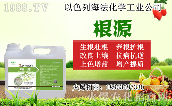 o(w)ôǤo(w)Ǥr(sh)gǤ己ֳ