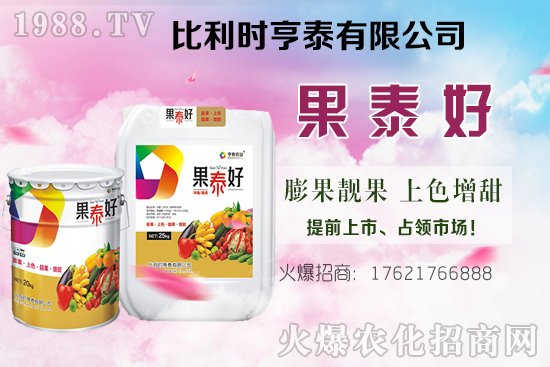 油茶樹的價格怎樣?種植前景如何?油茶樹畝產(chǎn)效益分析!