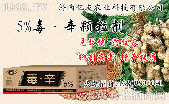 果樹秋栽和春栽有什么不同,果樹秋栽八大關鍵要點!