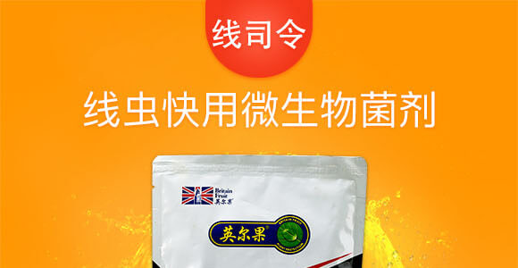 線蟲(chóng)快用微生物菌劑-線司令-英爾果_01