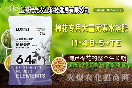 甜椒什么時候種植,甜椒栽培技術要點!