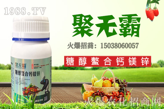 沙糖桔苗多少錢一棵?沙糖桔什么時候結果?栽培要點有哪些?
