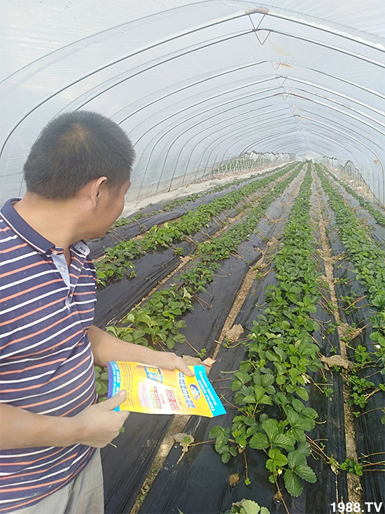 水溶肥市場(chǎng)大變革。亢T寰、魚蛋白將被它代替!1000多用戶鼎力推薦!