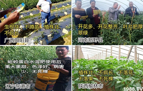 水溶肥市場(chǎng)大變革?海藻精、魚蛋白將被它代替!1000多用戶鼎力推薦!