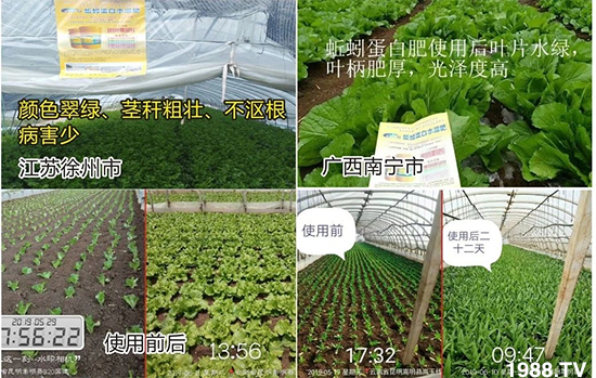水溶肥市場(chǎng)大變革?海藻精、魚蛋白將被它代替!1000多用戶鼎力推薦!