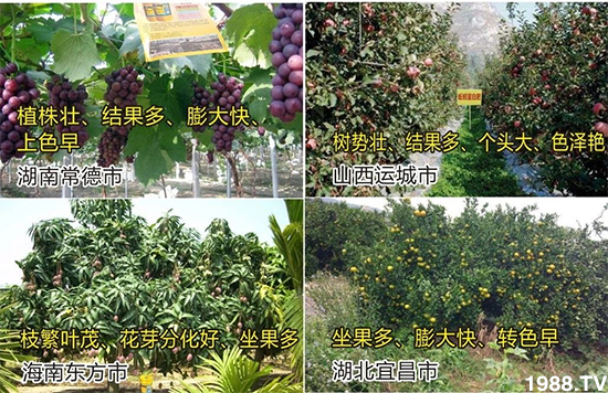 水溶肥市場(chǎng)大變革!?海藻精、魚蛋白將被它代替!1000多用戶鼎力推薦!