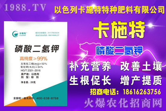 今日糧價: 9月7日小麥市場行情預(yù)測!