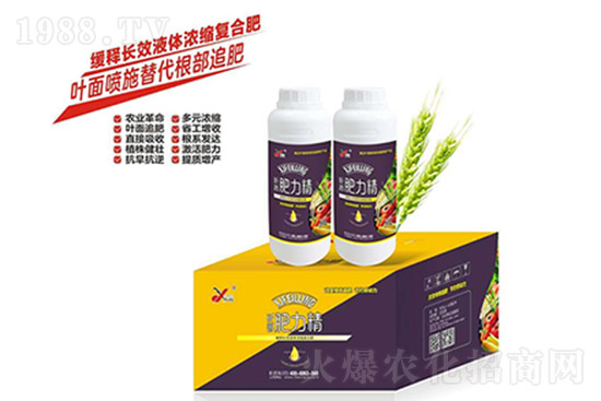 復合肥