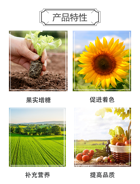 一畫農業(yè)_03