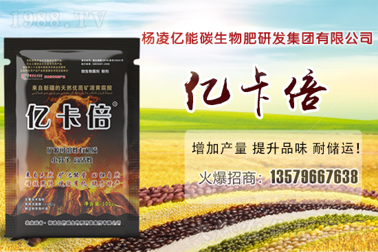菠蘿蜜產(chǎn)地在我國(guó)哪些省份?菠蘿蜜有哪些常見(jiàn)品種?