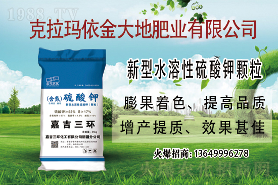 鉀肥市場(chǎng)保持堅(jiān)挺走勢(shì)!今日鉀肥價(jià)格走勢(shì)及交易日評(píng)