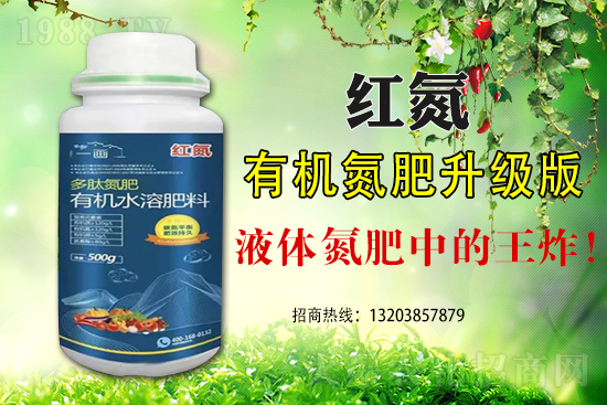 關于應對臺風暴雨加強在田蔬菜管理的技術指導意見