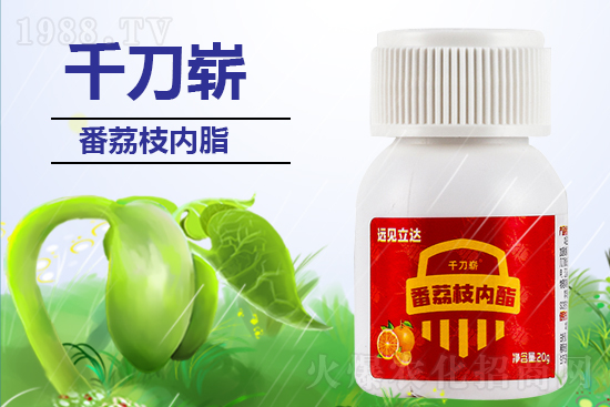 【有機(jī)化工廠(chǎng)】祝您新年更有新氣象!在新的一年里大展宏圖!