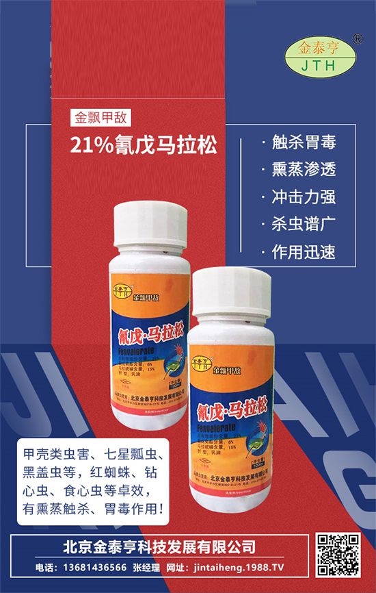 【北京金泰亨】祝廣大朋友們財(cái)運(yùn)滾滾,新年快樂,虎年大吉!