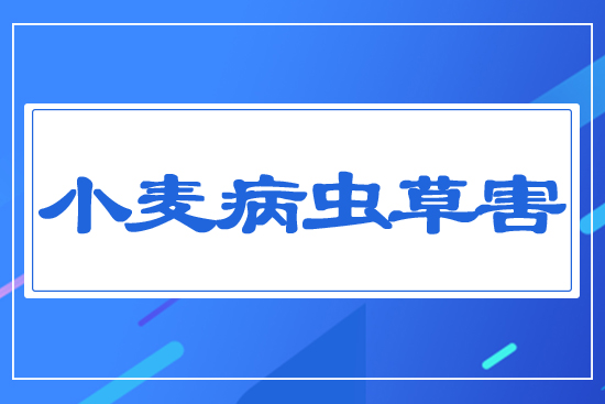 Сx(chng)ݺ
