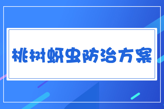 桃樹(shù)蚜蟲