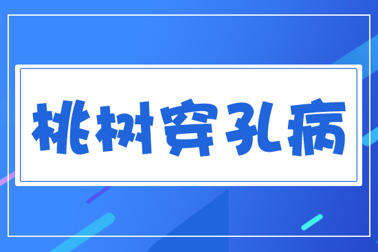 桃樹(shù)穿孔病
