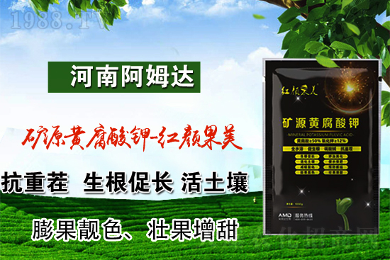 2022年3月24日國內(nèi)鉀肥價格行情日報