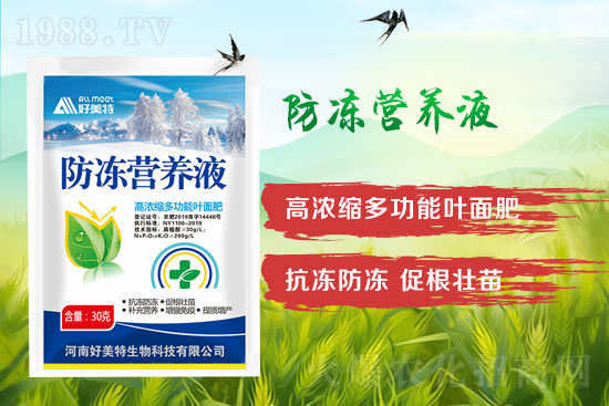 小麥倒春寒怎么預防?發(fā)生倒春寒的小麥怎么補救