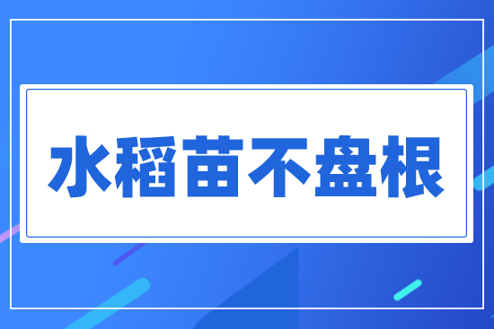 ˮ粻P(pn)