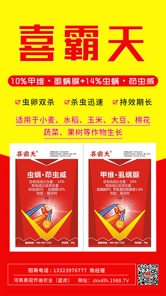 小菜蛾、菜青蟲(chóng)危害重太難打?這樣用藥!一打一個(gè)準(zhǔn)!