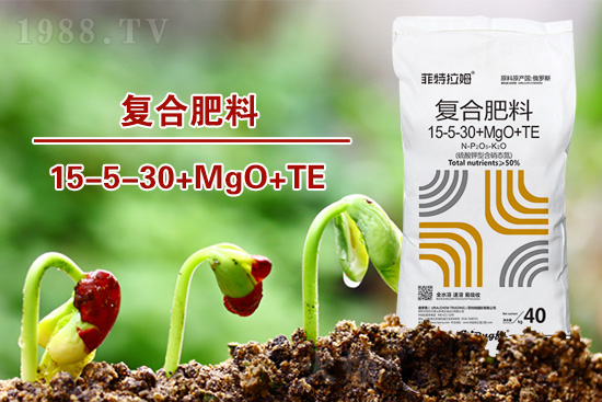 湖北：2022年春播玉米生產(chǎn)技術指導意見
