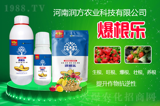 河南潤方農(nóng)業(yè)科技有限公司【微生物菌劑-爆根樂-土草帽】可幫助植物建立強(qiáng)壯強(qiáng)大的根系,促進(jìn)植物對(duì)土壤養(yǎng)分、水分與氣體的吸收利用。生根、旺根、爆根、壯根、養(yǎng)根,增強(qiáng)抗逆性。