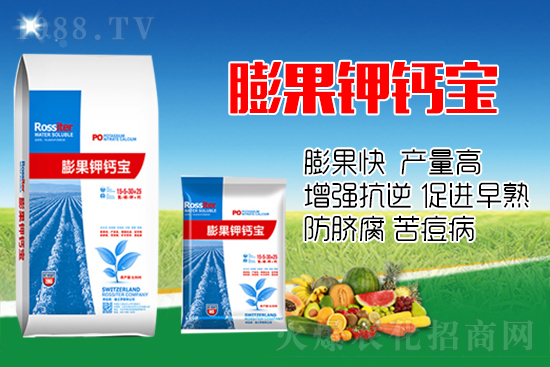 柑橘進(jìn)入膨大期,如何提升“顏值”?這個方案值得擁有!
