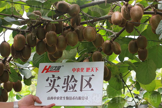 JcЩJôʩ