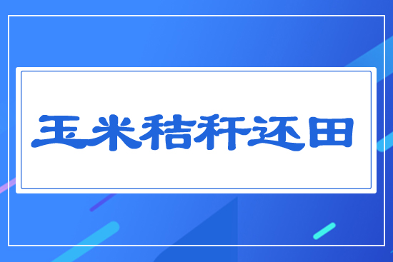 玉米秸稈還田