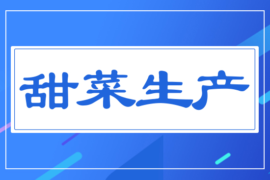 甜菜生產