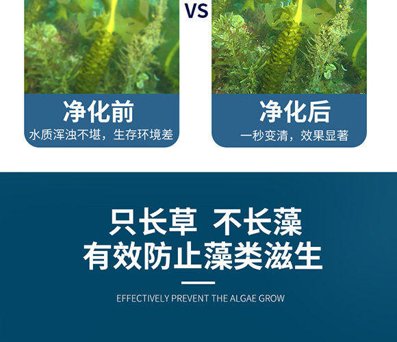 潤(rùn)派底改凈水劑-潤(rùn)派生物_11