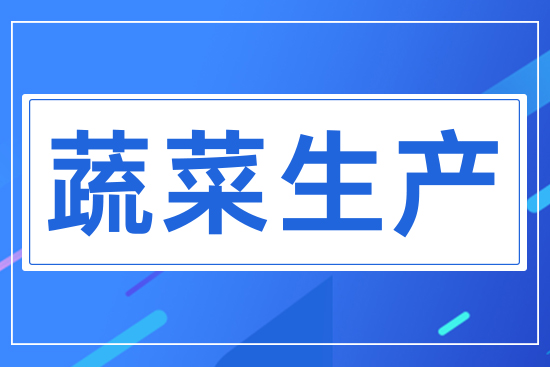 蔬菜生產