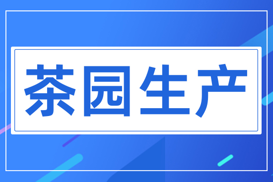 茶園生產