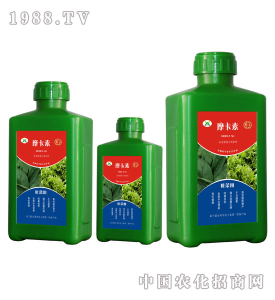 ~ˌ(zhun)ðҺķ-Ħ-(qing)о(gu)H