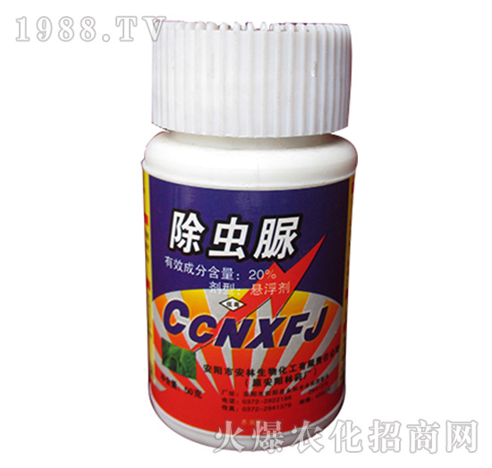 20%x(chng)-