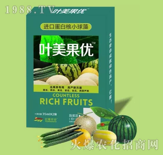 (li)(zhun){(dio)(ji)-~(yu)-|¡r(nng)I(y)
