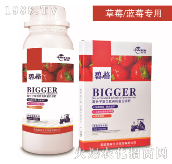 草莓專用高分子復(fù)合肽有機(jī)蛋白液肥-碧格-瀚森農(nóng)業(yè)
